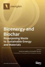 Bioenergy and Biochar af Dimitrios Kalderis