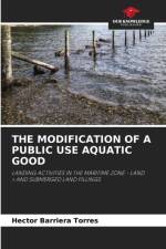 Modification of a Public Use Aquatic Good af Hector Barriera Torres