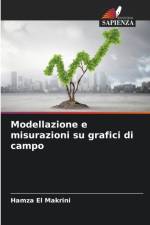 Modellazione e misurazioni su grafici di campo af Hamza El Makrini