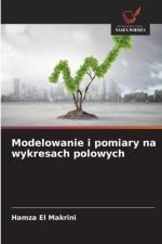 Modelowanie i pomiary na wykresach polowych af Hamza El Makrini