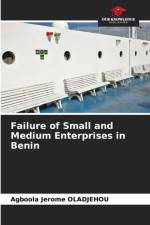 Failure of Small and Medium Enterprises in Benin af Agboola Jérôme Oladjehou