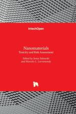 Nanomaterials af MARCELO LARRAMENDY