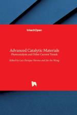 Advanced Catalytic Materials af NORE A LUIS