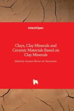 Clays, Clay Minerals and Ceramic Materials Based on Clay Minerals af MORARI DO NASCIMENTO