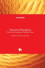 Numerical Simulation af Ricardo López-Ruiz