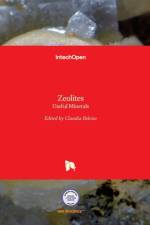 Zeolites af CLAUDIA BELVISO