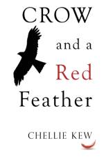 Crow and a Red Feather af Chellie Kew
