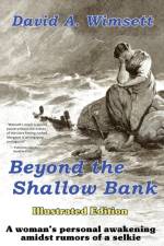 Beyond the Shallow Bank af David Wimsett