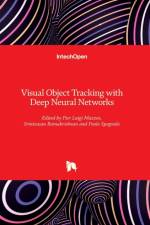 Visual Object Tracking with Deep Neural Networks