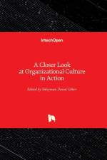 A Closer Look at Organizational Culture in Action