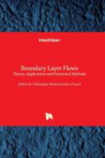 Boundary Layer Flows