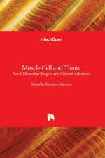 Muscle Cell and Tissue