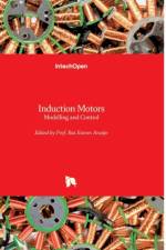 Induction Motors af RUI ESTEVES ARA JO
