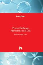 Proton Exchange Membrane Fuel Cell