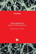Neuroplasticity