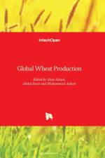 Global Wheat Production