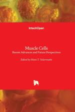 Muscle Cells