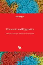 Chromatin and Epigenetics
