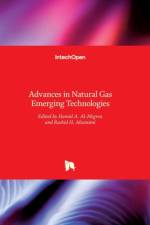 Advances in Natural Gas Emerging Technologies af HAMID AL-MEGREN