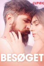 Besøget – erotiske noveller af Cupido