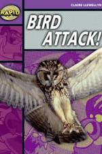 Rapid Reading: Bird Attack! (Stage 1, Level B) af Claire Llewellyn