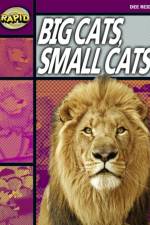Rapid Reading: Big Cats Small Cats (Stage 1, Level 1A) af Dee Reid