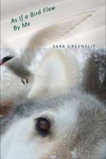 As If a Bird Flew by Me af Sara Greenslit