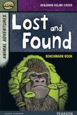 Rapid Stage 7 Assessment book: Lost and Found af Dee Reid