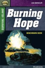 Rapid Stage 9 Assessment book: Burning Hope af Dee Reid