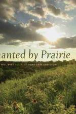 Enchanted by Prairie