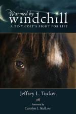Warmed by Windchill af Jeffrey L. Tucker