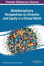 Multidisciplinary Perspectives on Diversity and Equity in a Virtual World