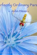 A Perfectly Ordinary Paradise af John Hess