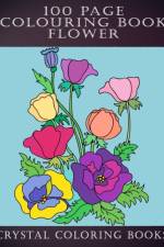 100 Page Colouring Book af Crystal Coloring Books