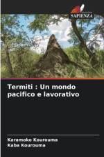 Termiti af Karamoko Kourouma