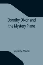 Dorothy Dixon and the Mystery Plane af Dorothy Wayne