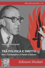 Tra politica e diritto af Andrea F Patergnani