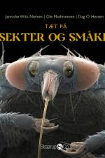 Tæt på insekter og småkryb af Jannicke Wiik-Nielsen