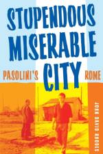 Stupendous, Miserable City af John David Rhodes