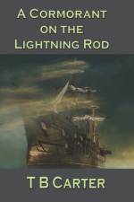 Cormorant on the Lightning Rod af T B Carter