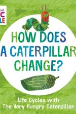 How Does a Caterpillar Change? af Eric Carle