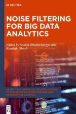 Noise Filtering for Big Data Analytics