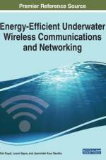 Energy-Efficient Underwater Wireless Communications and Networking