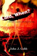 Lord, When? af John J Cobb