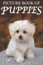 Picture Book of Puppies af Mighty Oak Books