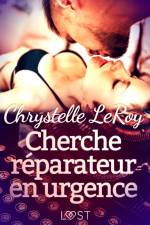 Cherche réparateur en urgence – Une nouvelle érotique af Chrystelle LeRoy