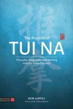 The Practice of Tui Na af Robert Aspell