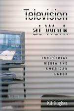 Television at Work af Kit (Assistant Professor of Media and Visual Culture Hughes