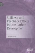 Spillover and Feedback Effects in Low Carbon Development af Youguo Zhang