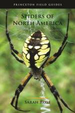 Spiders of North America af Sarah Rose